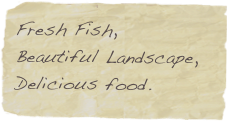 Fresh Fish,
Beautiful Landscape,
Delicious food.
